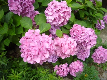 e0100046_21513034.jpg