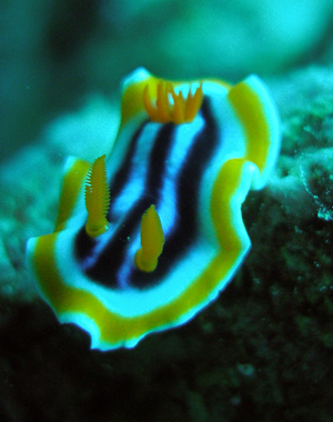 d0065247_20354714.jpg