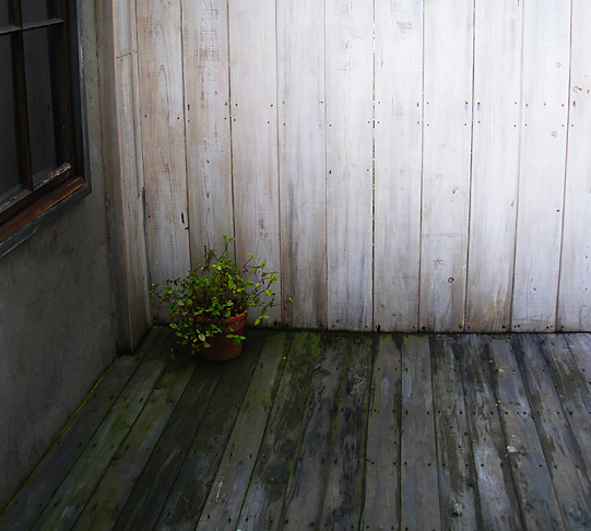 f0161647_15181316.jpg