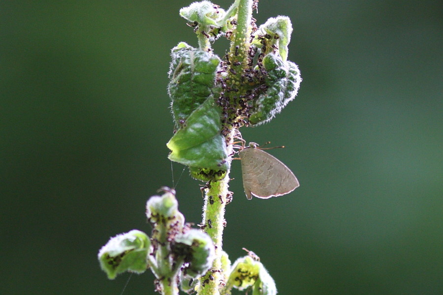 a0094850_21404046.jpg