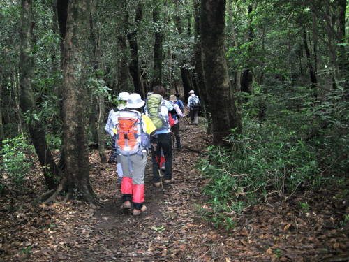 c0179351_1103526.jpg
