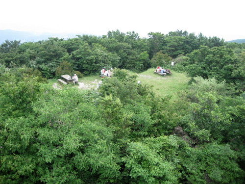 c0179351_1163387.jpg