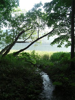 f0009451_21482463.jpg