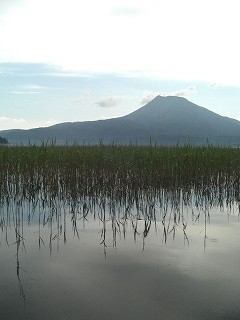 f0009451_2214778.jpg