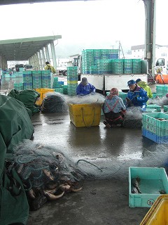 f0009451_6412815.jpg