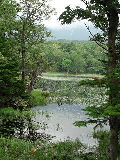 f0009451_825868.jpg