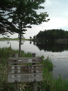 f0009451_843681.jpg