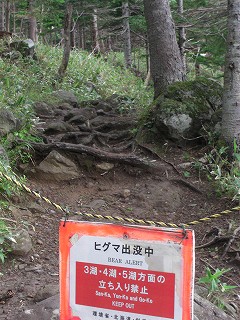 f0009451_852221.jpg
