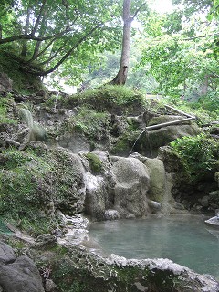 f0009451_872052.jpg
