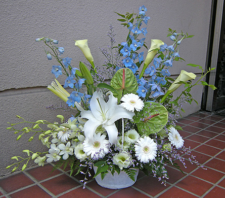 a0001354_21401697.jpg