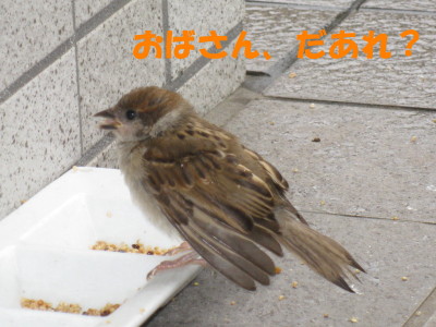 b0158061_19555851.jpg