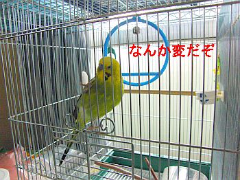 f0196665_095246.jpg