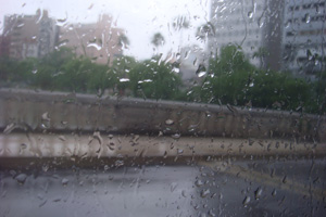 f0202071_11431821.jpg