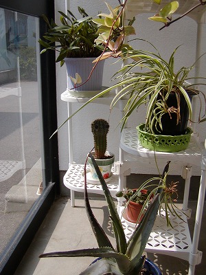 c0131478_2275378.jpg