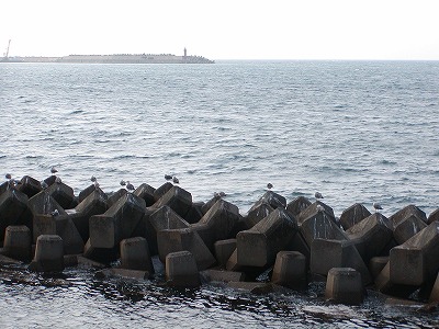 c0131478_2284760.jpg