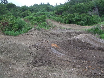 e0055880_171263.jpg