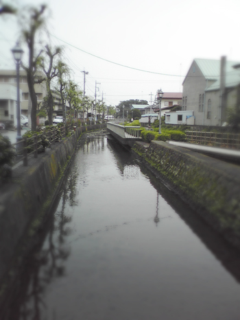 c0187782_16453826.jpg