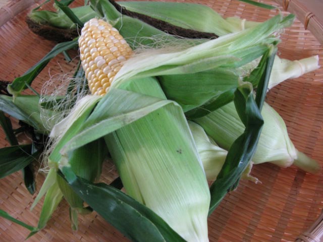 e0165285_22331579.jpg