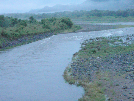 c0146788_945272.jpg