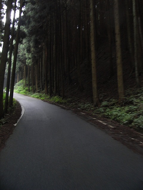 a0118289_741952.jpg