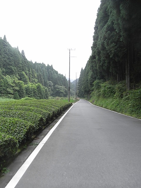a0118289_7564332.jpg