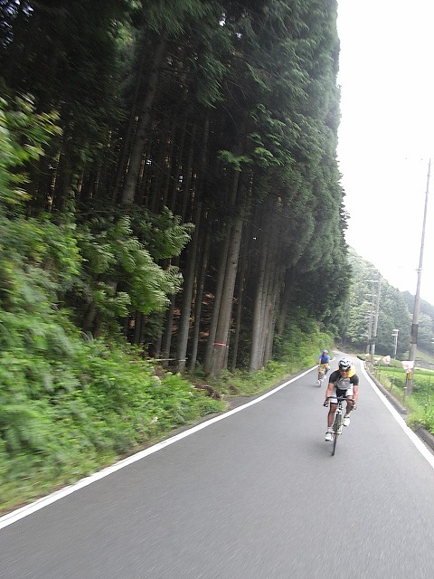 a0118289_757685.jpg