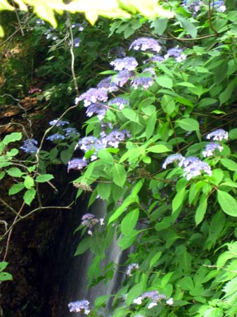 c0171790_13504370.jpg