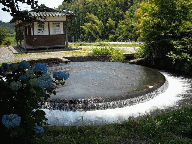 f0059491_11293667.gif