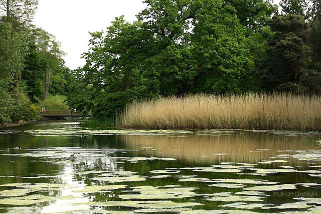 f0185802_22594172.jpg