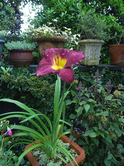 f0065604_012642.jpg