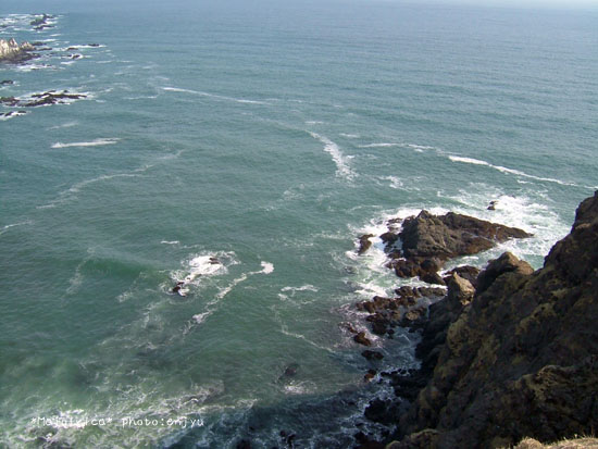 f0176507_20412351.jpg
