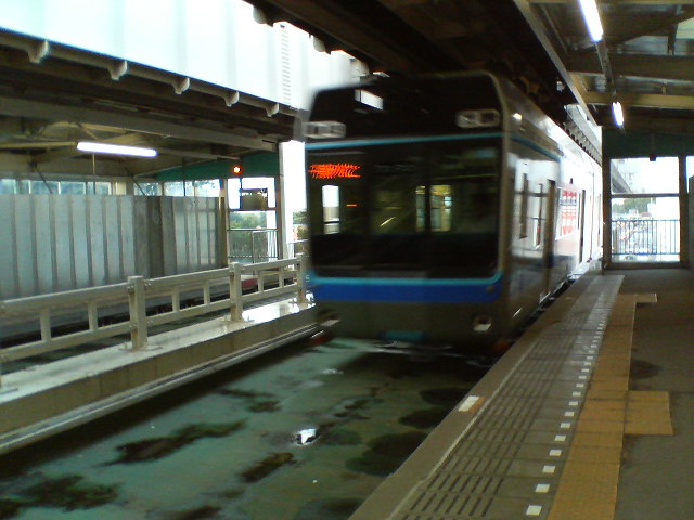 b0027009_8153732.jpg