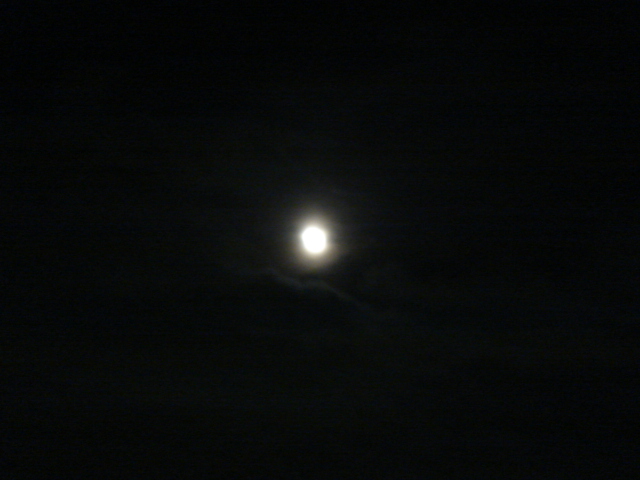 b0168309_202193.jpg