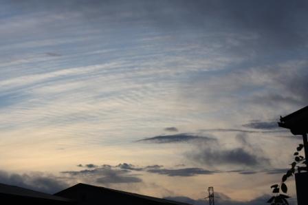 c0186410_548635.jpg