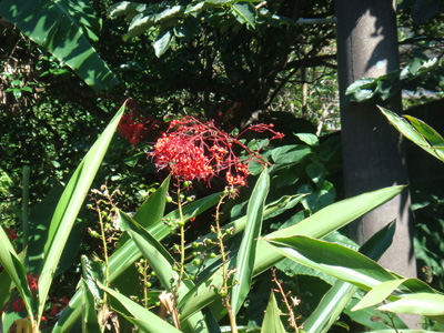 a0019212_21141976.jpg