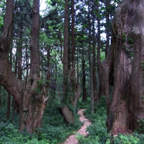 e0085113_9202367.jpg