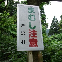 e0085113_938089.jpg