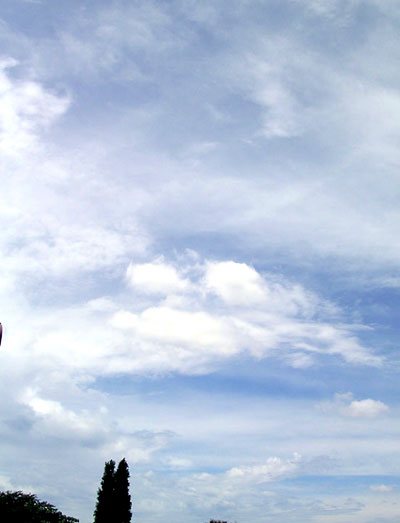 f0036716_23593965.jpg