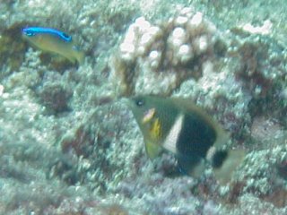 f0126417_14153711.jpg