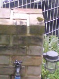 e0112619_23504469.jpg