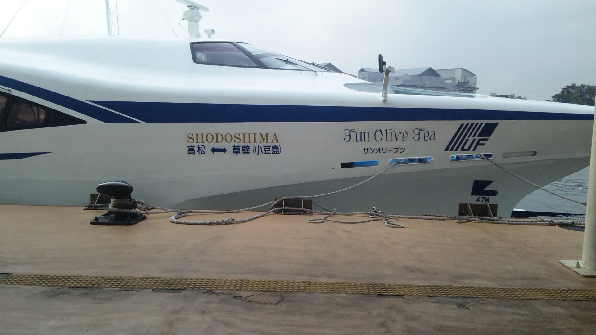 d0010720_1556535.jpg