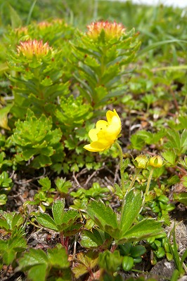 e0167920_0411579.jpg