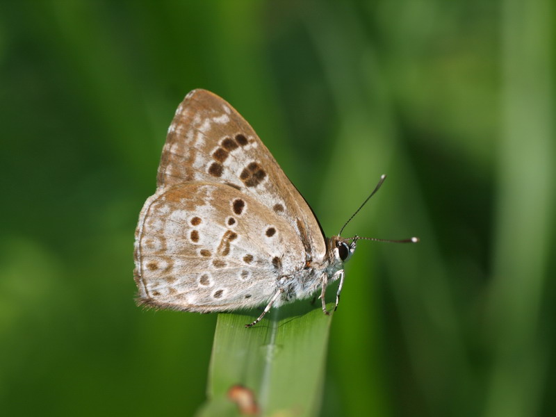 d0090322_947443.jpg