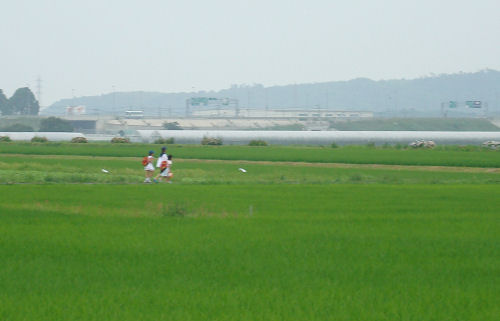 f0007926_2018996.jpg