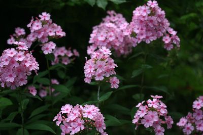 c0104227_21313273.jpg