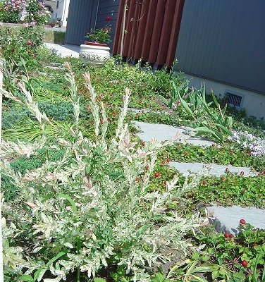 f0205733_1628611.jpg