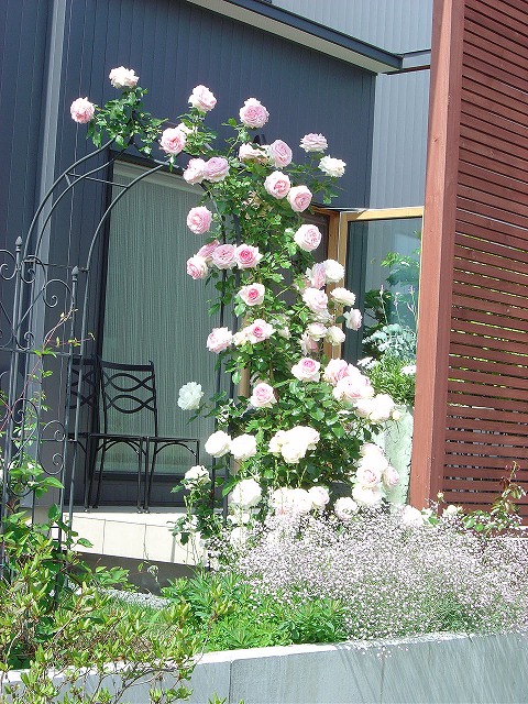 f0205733_16494498.jpg