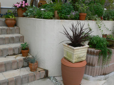 f0061334_2331419.jpg