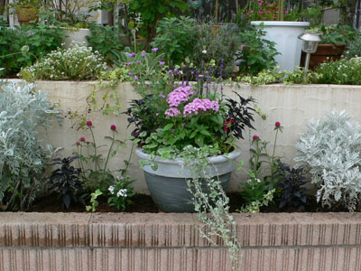 f0061334_2346552.jpg