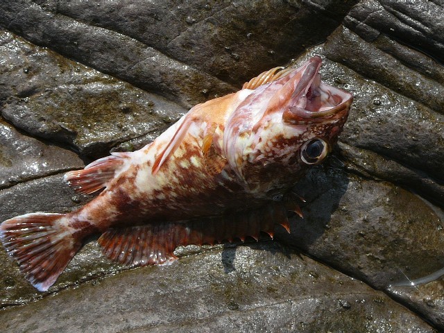c0194535_21123378.jpg
